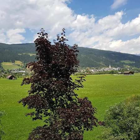 Roßbrand - A33559 Hoggen
